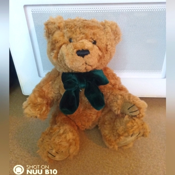 Other - Super Cute Teddy Bear With Green Bow